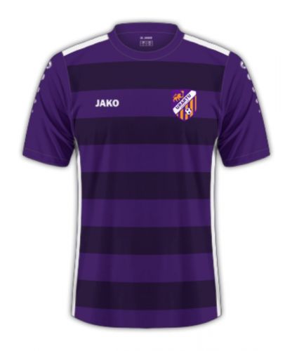 Jersey FC Urartu: Profil Tim dan Performa Terkini
