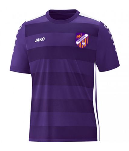 Jersey FC Urartu: Profil Tim Sepak Bola Armenia yang Menarik